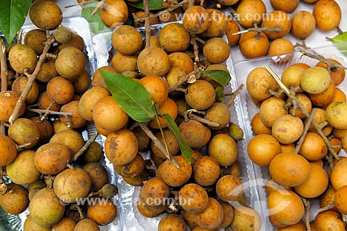  Detail of the fruit of talisia esculenta to sale - street fair  - Rio de Janeiro city - Rio de Janeiro state (RJ) - Brazil