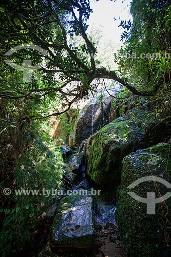  Waterfall - Serra dos Orgaos National Park  - Teresopolis city - Rio de Janeiro state (RJ) - Brazil