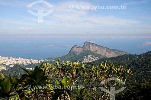  General view from trail of Queimado Mountain with the Morro Dois Irmaos (Two Brothers Mountain) in the background  - Rio de Janeiro city - Rio de Janeiro state (RJ) - Brazil