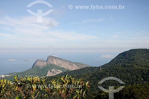  General view from trail of Queimado Mountain with the Morro Dois Irmaos (Two Brothers Mountain) in the background  - Rio de Janeiro city - Rio de Janeiro state (RJ) - Brazil