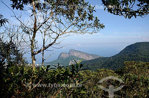  General view from trail of Queimado Mountain with the Morro Dois Irmaos (Two Brothers Mountain) in the background  - Rio de Janeiro city - Rio de Janeiro state (RJ) - Brazil