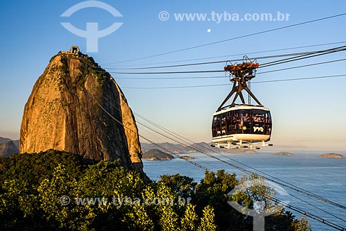  Cable car making the crossing between the Urca Mountain and Sugar Loaf  - Rio de Janeiro city - Rio de Janeiro state (RJ) - Brazil