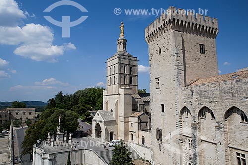  View of Palais des Papes (Palace of the Popes) - 1345 - with Notre-Dame dos Doms Cathedral in the background  - Avignon city - Vaucluse department - France