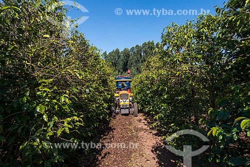 Machine harvesting coffee that fell to the ground during harvest  - Garca city - Sao Paulo state (SP) - Brazil