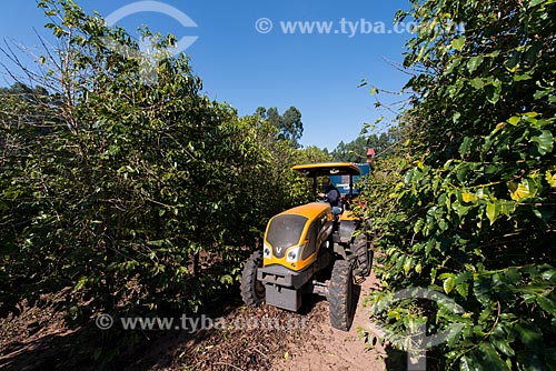  Machine harvesting coffee that fell to the ground during harvest  - Garca city - Sao Paulo state (SP) - Brazil