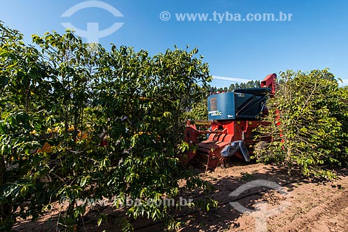  Machine harvesting coffee that fell to the ground during harvest  - Garca city - Sao Paulo state (SP) - Brazil