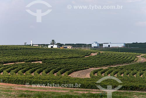  Farm with coffee plantation  - Garca city - Sao Paulo state (SP) - Brazil