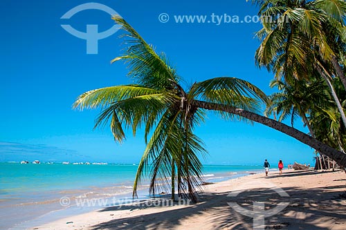  Bathers - Xareu Beach waterfront  - Maragogi city - Alagoas state (AL) - Brazil