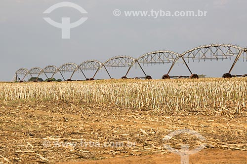  Central pivot  irrigation - sugarcane plantation near to Itaberai city  - Itaberai city - Goias state (GO) - Brazil