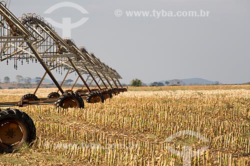  Central pivot  irrigation - sugarcane plantation near to Itaberai city  - Itaberai city - Goias state (GO) - Brazil