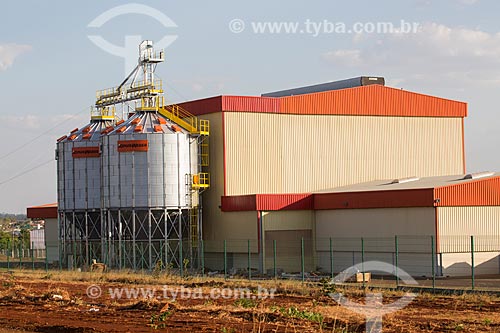  Sugarcane plant near to Itaucu city  - Itaucu city - Goias state (GO) - Brazil