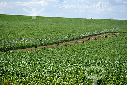  Irrigation system in corn plantation  - Alto Paraiso de Goias city - Goias state (GO) - Brazil