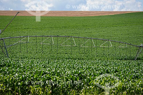  Irrigation system in corn plantation  - Alto Paraiso de Goias city - Goias state (GO) - Brazil