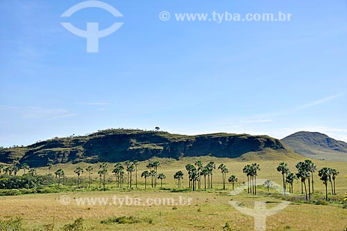  View of the Maytrea Garden - Chapada dos Veadeiros National Park  - Alto Paraiso de Goias city - Goias state (GO) - Brazil