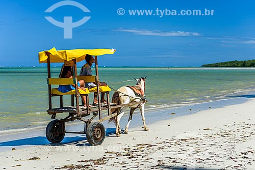  Carriage ride - Encanto Beach waterfront  - Cairu city - Bahia state (BA) - Brazil