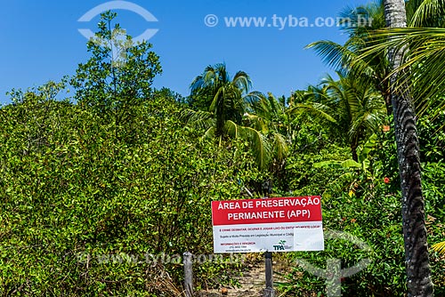  View of the Environmental Protection Area - Velha Boipeba village  - Cairu city - Bahia state (BA) - Brazil