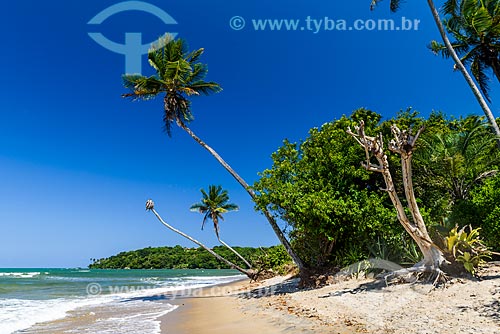  Tassimirim Beach waterfront  - Cairu city - Bahia state (BA) - Brazil