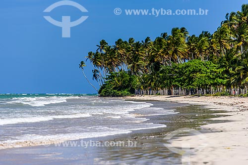  View of the Bainema Beach waterfront  - Cairu city - Bahia state (BA) - Brazil