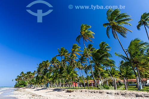  View of the Bainema Beach waterfront  - Cairu city - Bahia state (BA) - Brazil