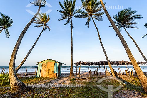  Cueira Beach waterfront  - Cairu city - Bahia state (BA) - Brazil