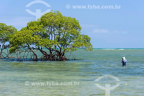  Man photographing mangroves - Tip of Castelhanos  - Cairu city - Bahia state (BA) - Brazil