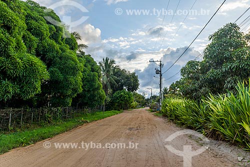  Dirt road - Barra Grande village  - Marau city - Bahia state (BA) - Brazil