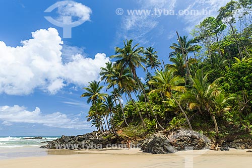  Havaizinho Beach waterfront  - Itacare city - Bahia state (BA) - Brazil