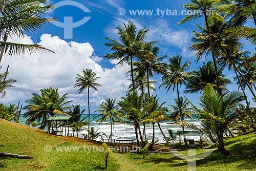  Havaizinho Beach waterfront  - Itacare city - Bahia state (BA) - Brazil