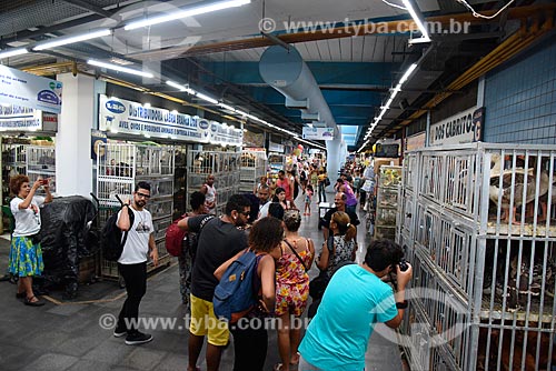  Bird store - Madureira Great Market (1959) - also known as Mercadao de Madureira  - Rio de Janeiro city - Rio de Janeiro state (RJ) - Brazil