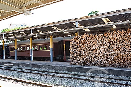  Stock of fuelwood used in the locomotive - Sao Lourenco Train Station  - Sao Lourenco city - Minas Gerais state (MG) - Brazil