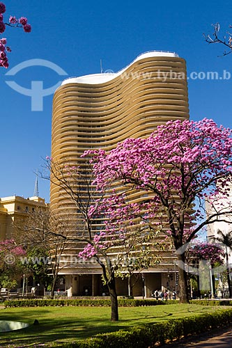  Pink Ipe tree (Tabebuia heptaphylla) - Liberdade Square (Liberty Square) with the Niemeyer Building (1955) in the background  - Belo Horizonte city - Minas Gerais state (MG) - Brazil