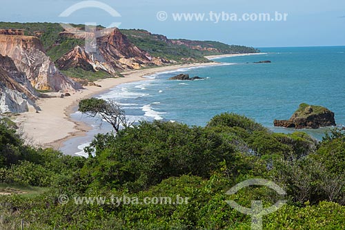  View of the Arapuca Beach waterfront  - Conde city - Paraiba state (PB) - Brazil