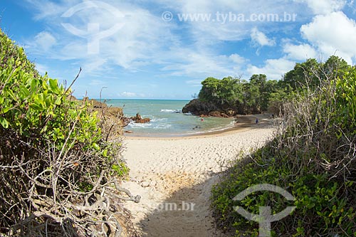  View of the Tambaba Beach waterfront  - Conde city - Paraiba state (PB) - Brazil