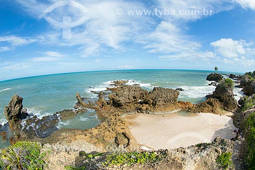  View of the Tambaba Beach waterfront  - Conde city - Paraiba state (PB) - Brazil