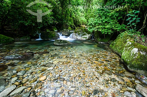  Santo Antonio River - Serrinha do Alambari Environmental Protection Area  - Resende city - Rio de Janeiro state (RJ) - Brazil