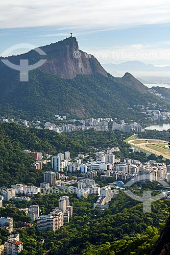  View of the Gavea neighborhood from Morro Dois Irmaos (Two Brothers Mountain) with the Christ the Redeemer in the background  - Rio de Janeiro city - Rio de Janeiro state (RJ) - Brazil