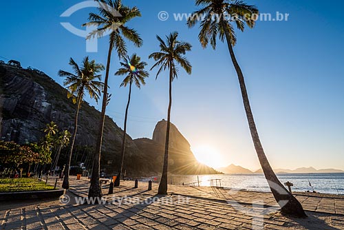  View of the dawn - Vermelha Beach (Red Beach) with the Sugar Loaf in the background  - Rio de Janeiro city - Rio de Janeiro state (RJ) - Brazil