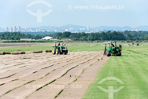  Grass mechanized harvesting
  - Tremembe city - Sao Paulo state (SP) - Brazil