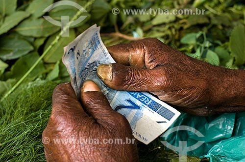  Detail of the hands of herbs seller  - Rio de Janeiro city - Rio de Janeiro state (RJ) - Brazil