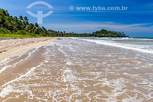  Bainema Beach waterfront  - Cairu city - Bahia state (BA) - Brazil