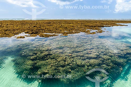  Natural pool - Tip of Castelhanos  - Cairu city - Bahia state (BA) - Brazil