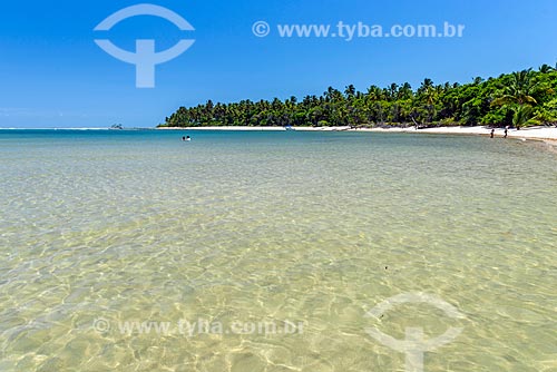  View of the Tip of Castelhanos waterfront  - Cairu city - Bahia state (BA) - Brazil