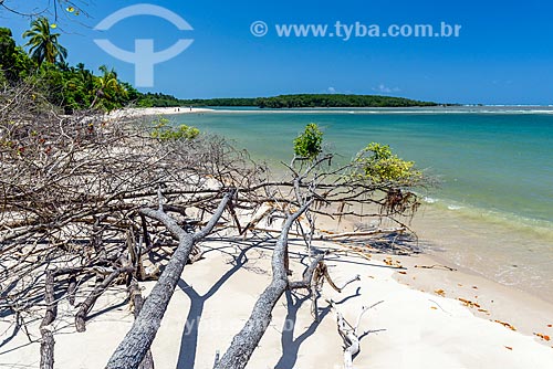  View of the Tip of Castelhanos waterfront  - Cairu city - Bahia state (BA) - Brazil