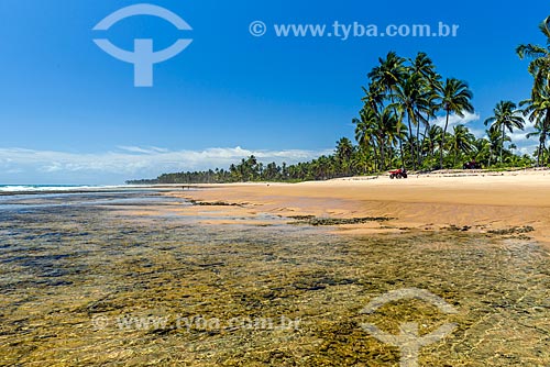  View of the Bombaca Beach waterfront  - Marau city - Bahia state (BA) - Brazil