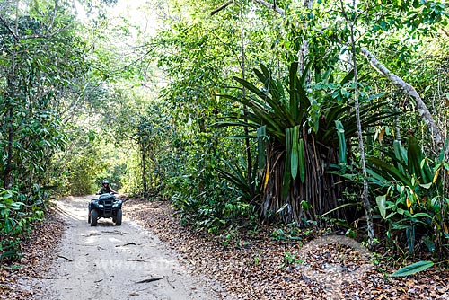  Quadricycle ride - Trail of Giant Bromeliads  - Marau city - Bahia state (BA) - Brazil