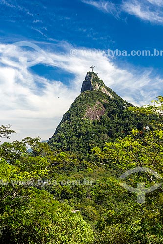  View of the Christ the Redeemer from Mirante Dona Marta  - Rio de Janeiro city - Rio de Janeiro state (RJ) - Brazil