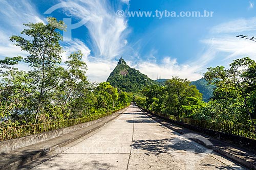  View of the Christ the Redeemer from Mirante Dona Marta  - Rio de Janeiro city - Rio de Janeiro state (RJ) - Brazil