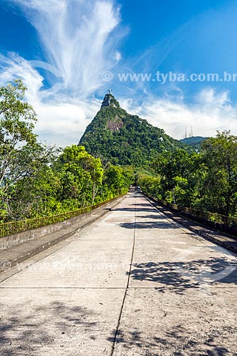  View of the Christ the Redeemer from Mirante Dona Marta  - Rio de Janeiro city - Rio de Janeiro state (RJ) - Brazil