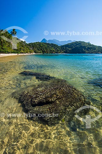  View of the Abraaozinho Beach waterfront  - Angra dos Reis city - Rio de Janeiro state (RJ) - Brazil