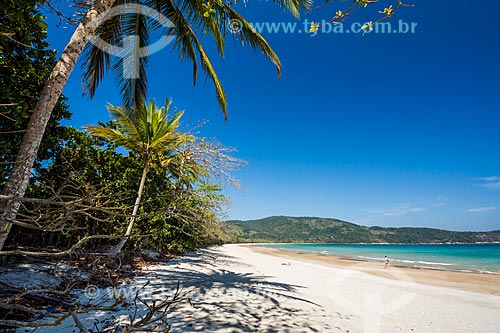  View of the Lopes Mendes Beach waterfront  - Angra dos Reis city - Rio de Janeiro state (RJ) - Brazil
